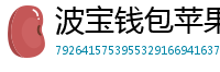 波宝钱包苹果版安装教程